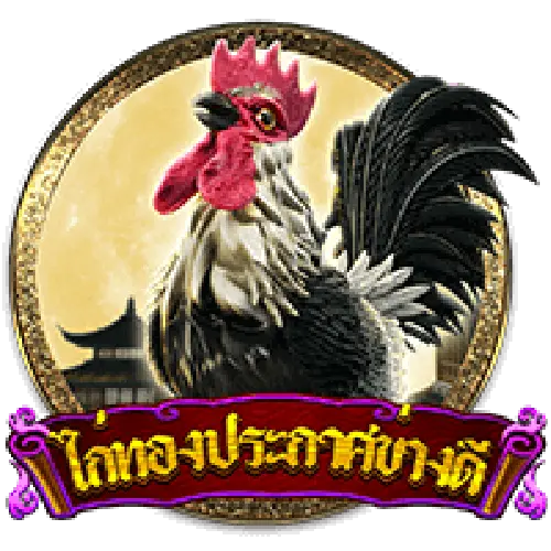 ไก่ทองประกาศข่างดี