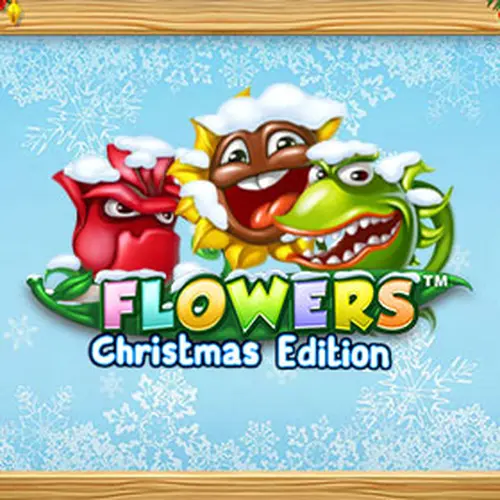 FLOWERS CHRISTMAS EDITION