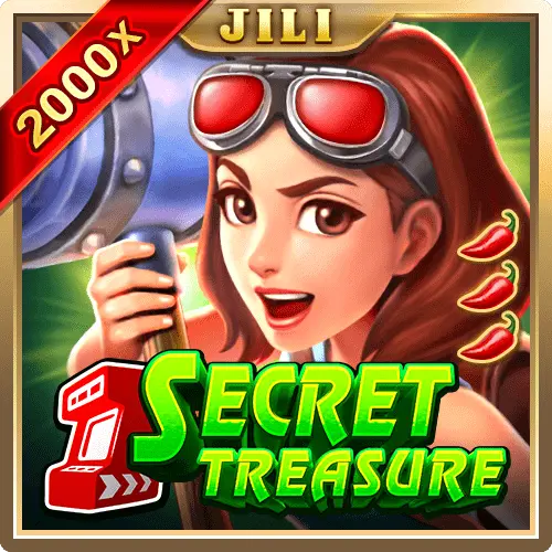 SECRET TREASURE