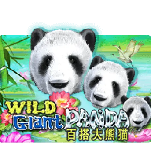 WILD GIANT PANDA